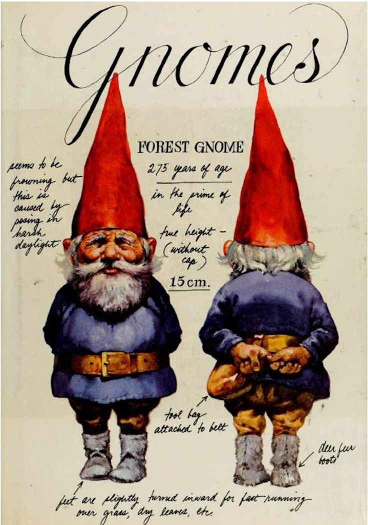 Gnome